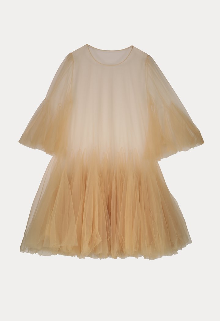 Flare Sleeve Tulle Dress