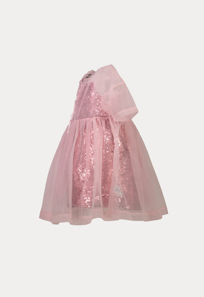 Sequin Organza Dress