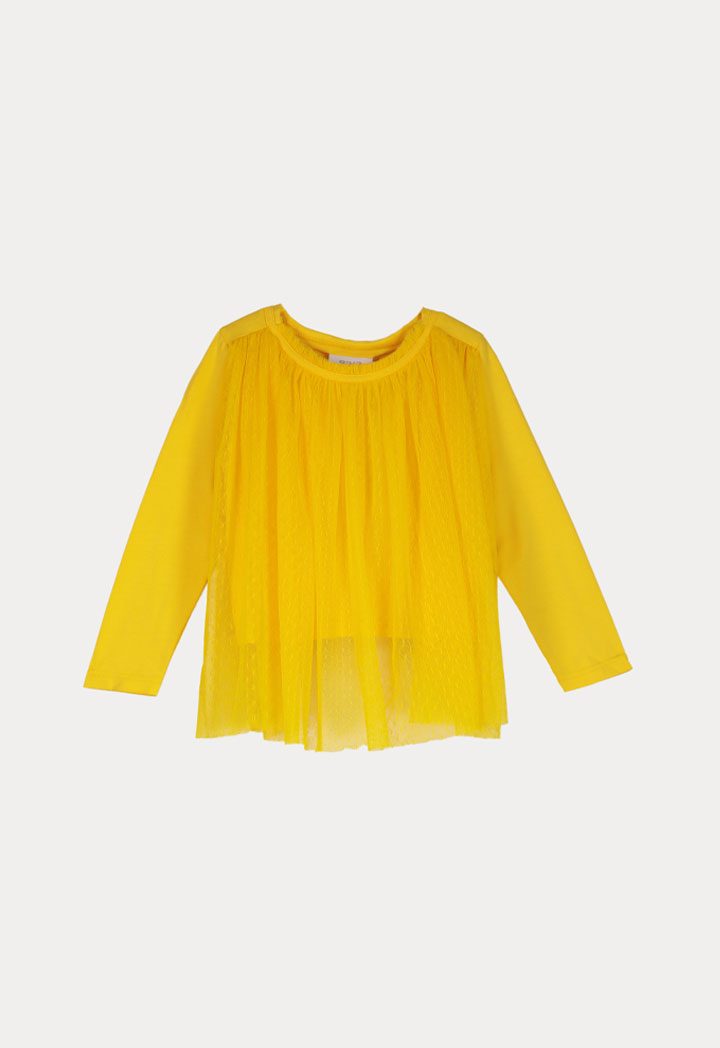 Ruffle Neckline Tulle Overlay Blouse