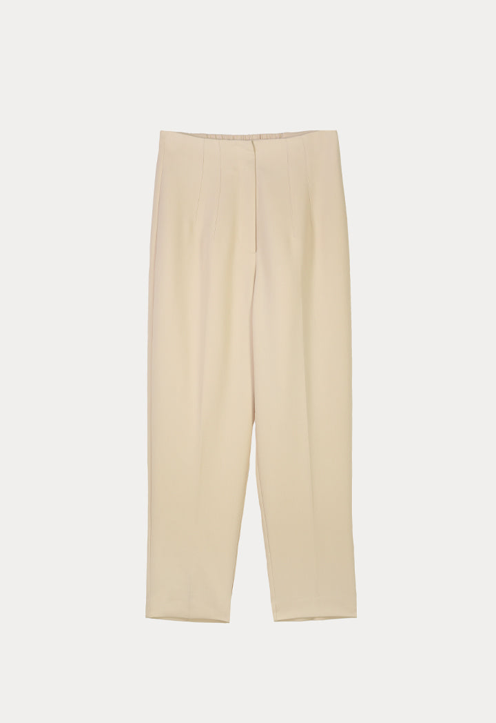 Solid Trouser With Pleats At Waist