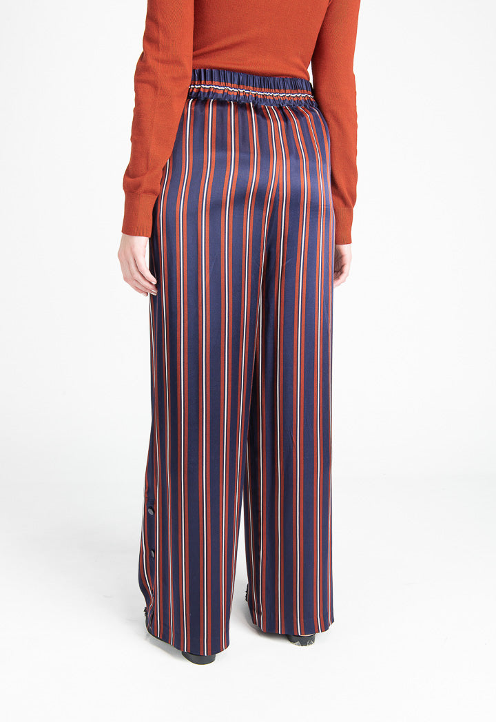 Shiny Striped Pants