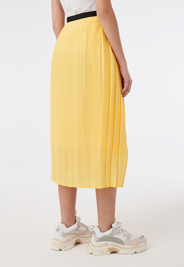 Wrap Around Pleated Skirt