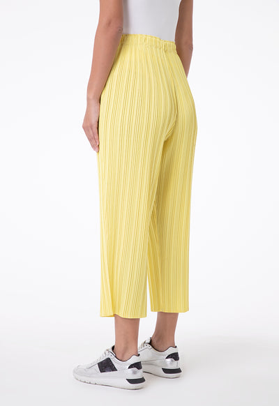 Pleated Cropped Pants