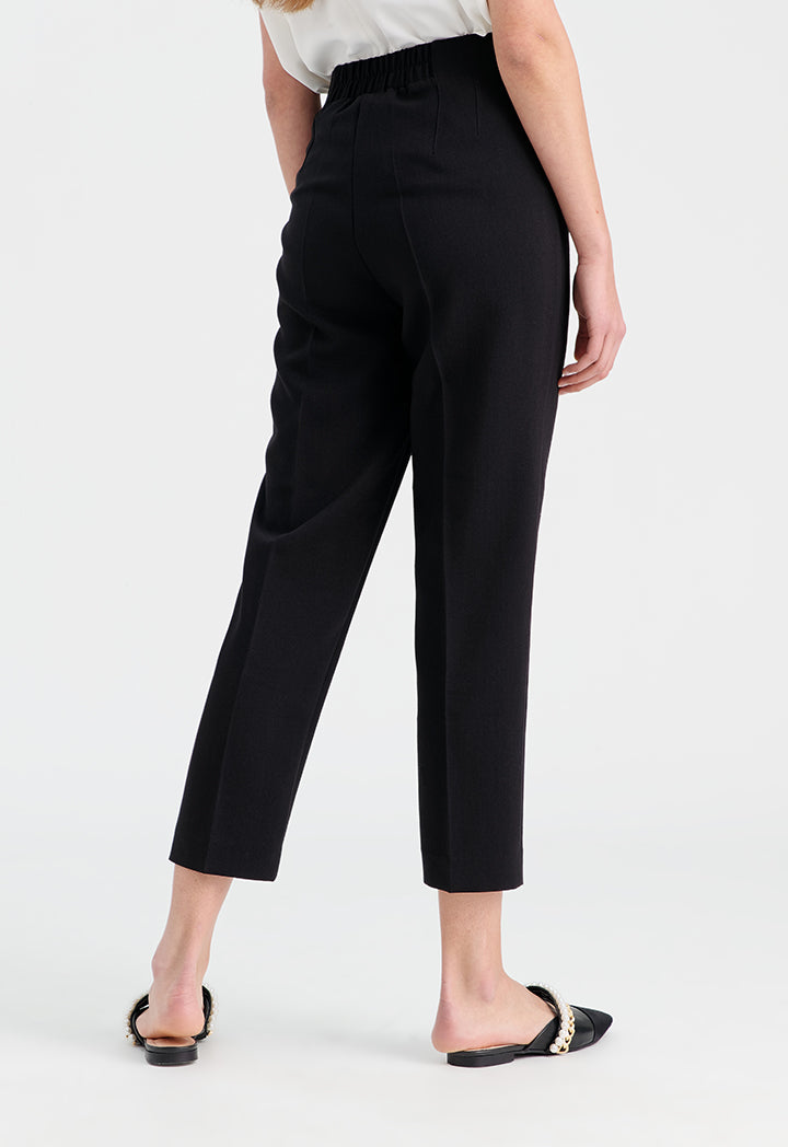 Solid Trouser With Pleats At Waist