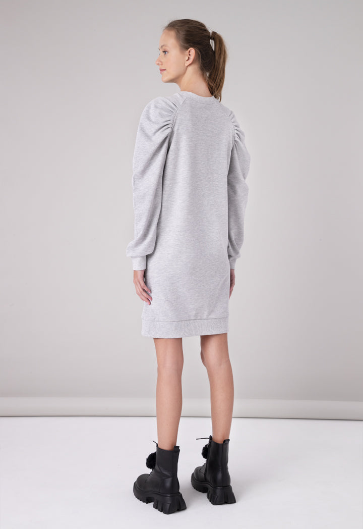 Pleated Raglan Long Sleeve Dress