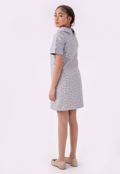 Embroidery Lurex Jacquard Folded Collar Dress