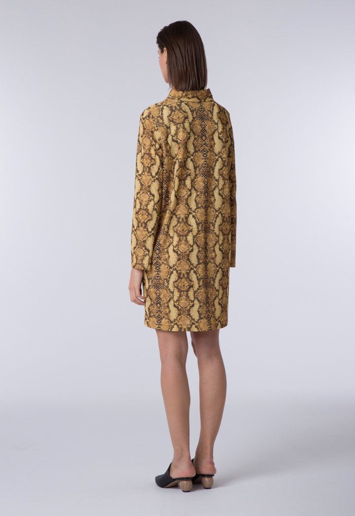 Snake Print Shirt Dress