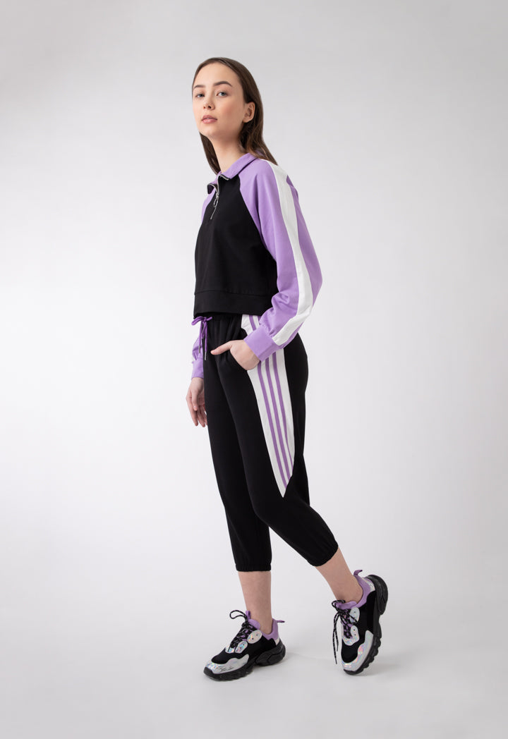 Cropped High Neck Collar Blouse