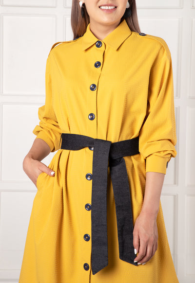 Belted Button Down Shirt Dress