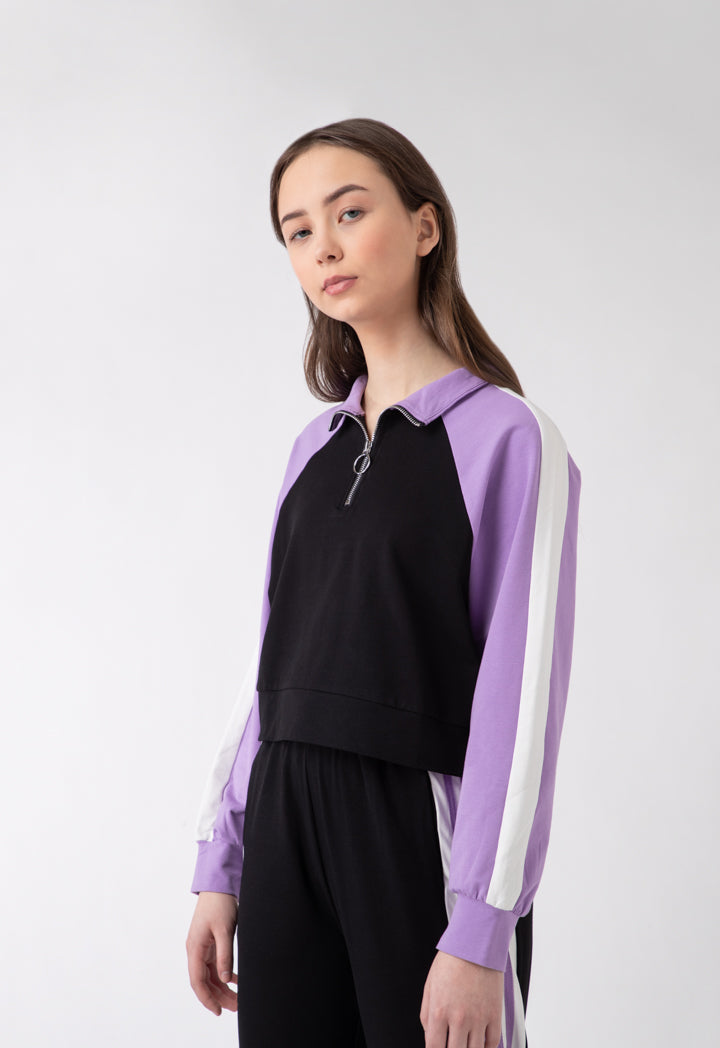 Cropped High Neck Collar Blouse