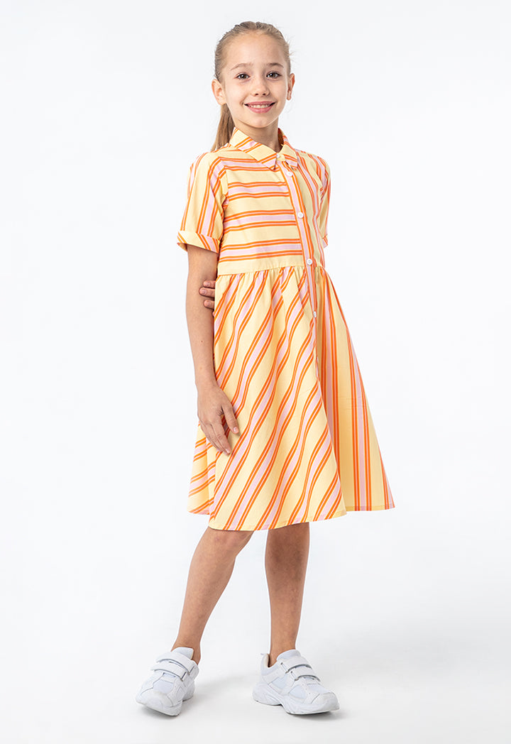 Collared All Over Striped Cotton Flared Dress